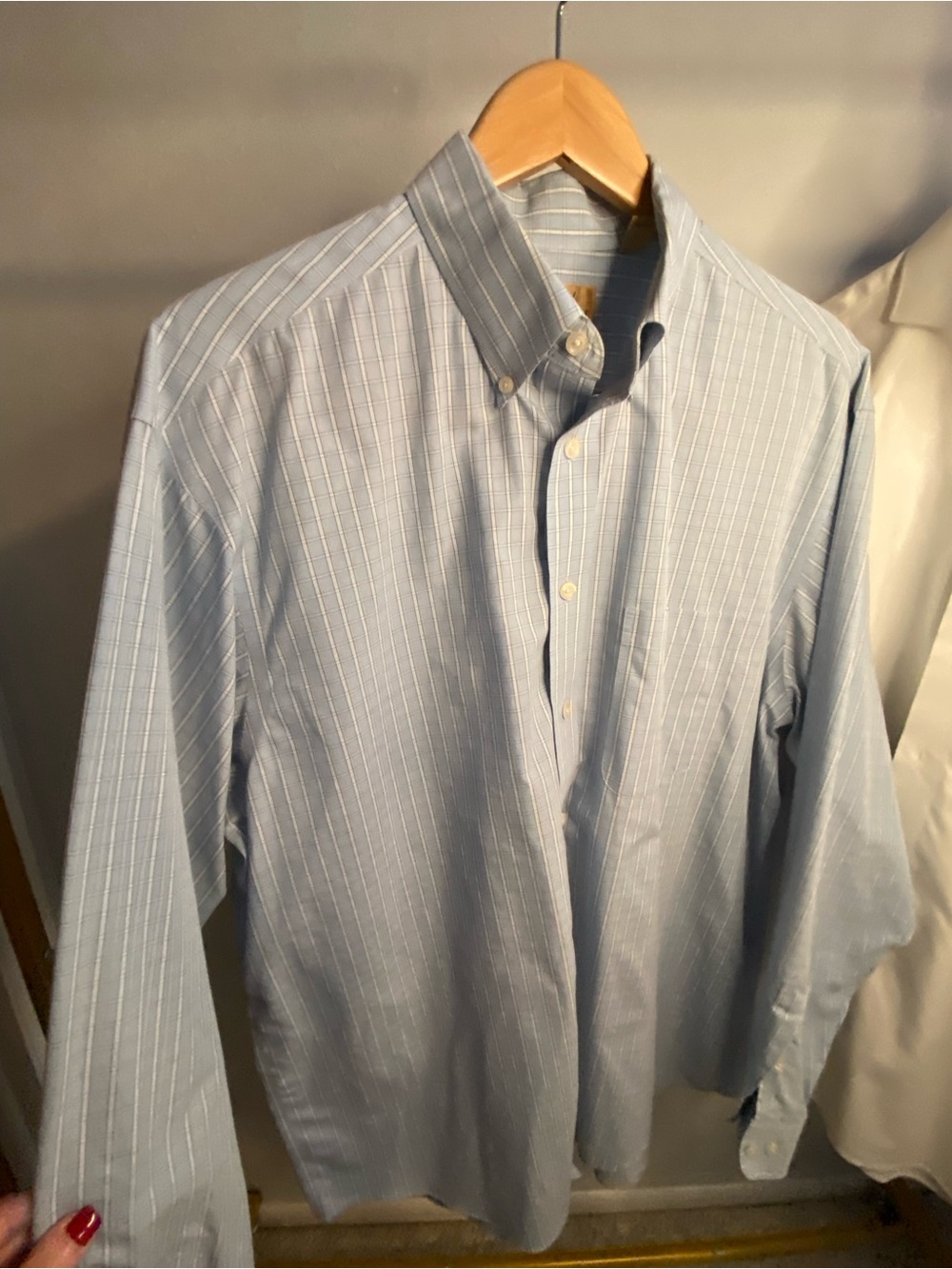 Roundtree & Yorke Gold Label Light Blue Pinstripe Dress Shirt